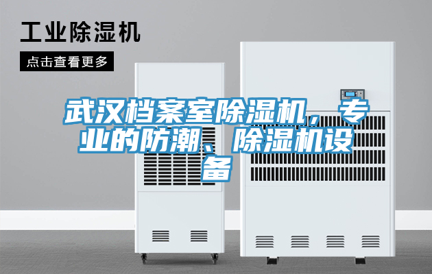 武漢檔案室除濕機，專業(yè)的防潮、除濕機設備