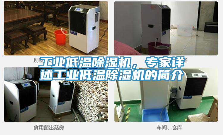 工業(yè)低溫除濕機(jī)，專家詳述工業(yè)低溫除濕機(jī)的簡(jiǎn)介