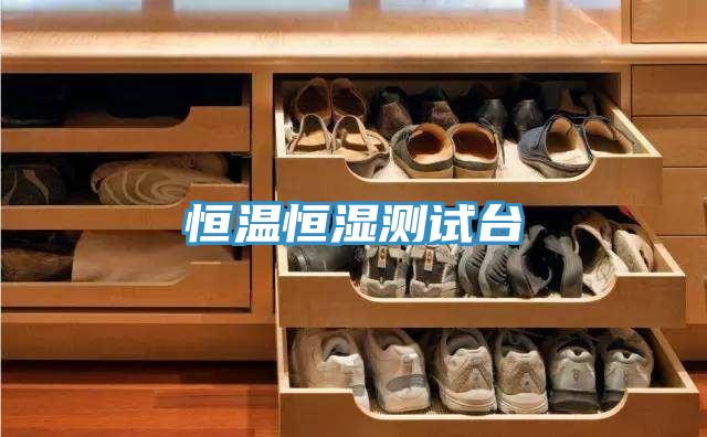恒溫恒濕測試臺