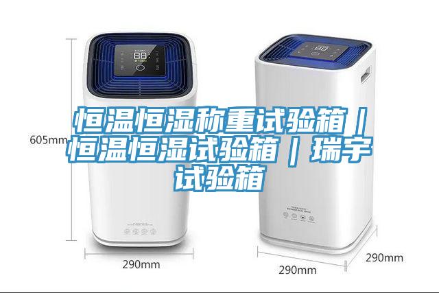 恒溫恒濕稱重試驗箱｜恒溫恒濕試驗箱｜瑞宇試驗箱