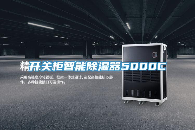 開(kāi)關(guān)柜智能除濕器5000C