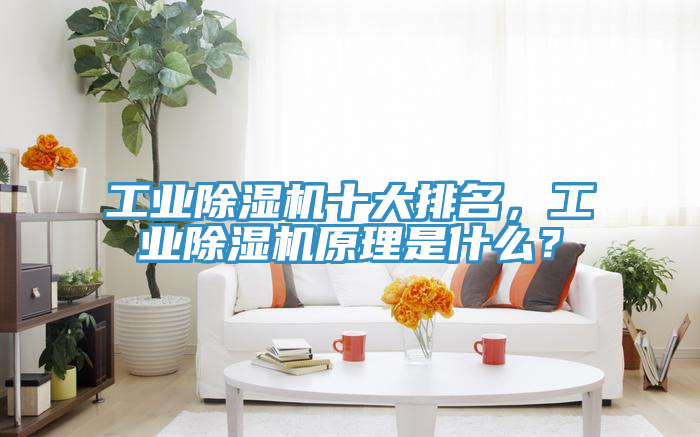 工業(yè)除濕機十大排名，工業(yè)除濕機原理是什么？
