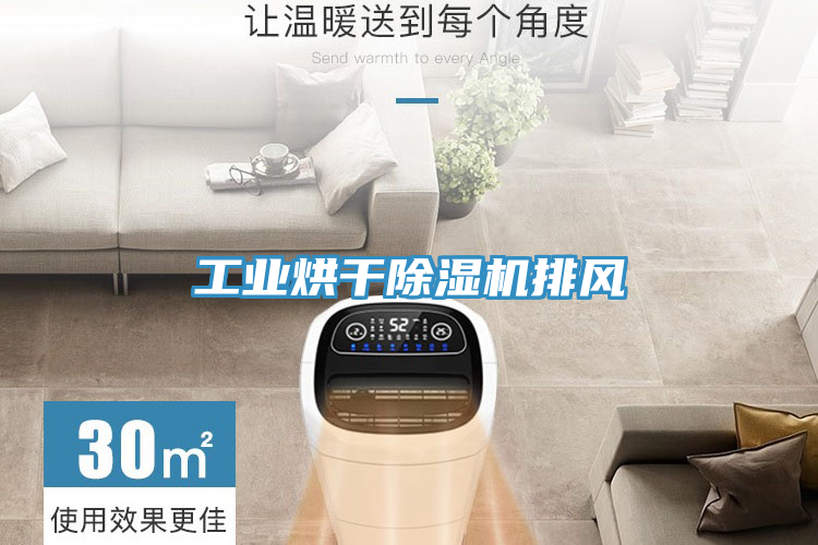 工業(yè)烘干除濕機(jī)排風(fēng)