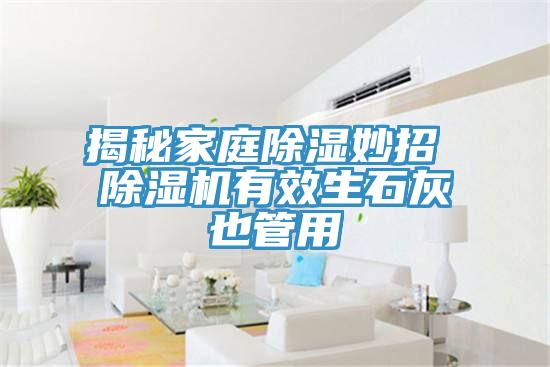 揭秘家庭除濕妙招 除濕機(jī)有效生石灰也管用