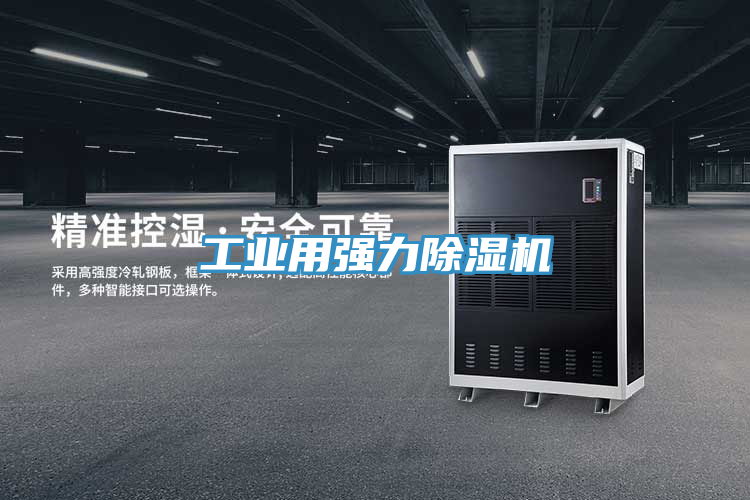 工業(yè)用強(qiáng)力除濕機(jī)