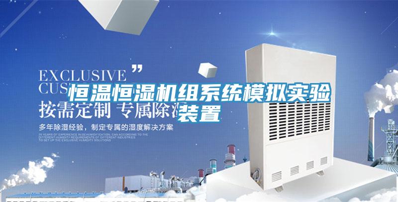 恒溫恒濕機(jī)組系統(tǒng)模擬實(shí)驗(yàn)裝置