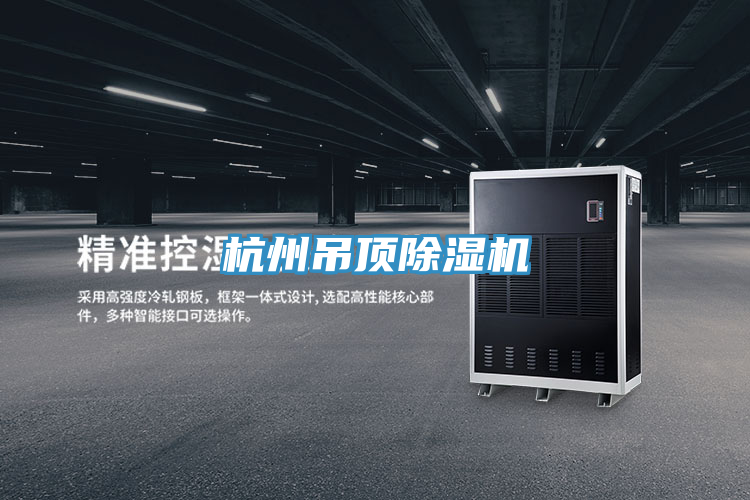 杭州吊頂除濕機(jī)