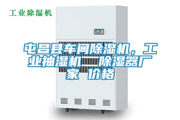 屯昌縣車間除濕機(jī)，工業(yè)抽濕機(jī)  除濕器廠家 價格