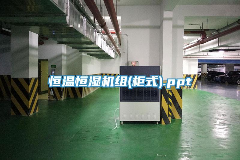 恒溫恒濕機(jī)組(柜式).ppt