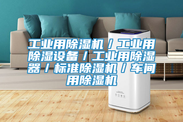 工業(yè)用除濕機／工業(yè)用除濕設備／工業(yè)用除濕器／標準除濕機／車間用除濕機