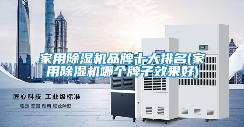 家用除濕機(jī)品牌十大排名(家用除濕機(jī)哪個牌子效果好)