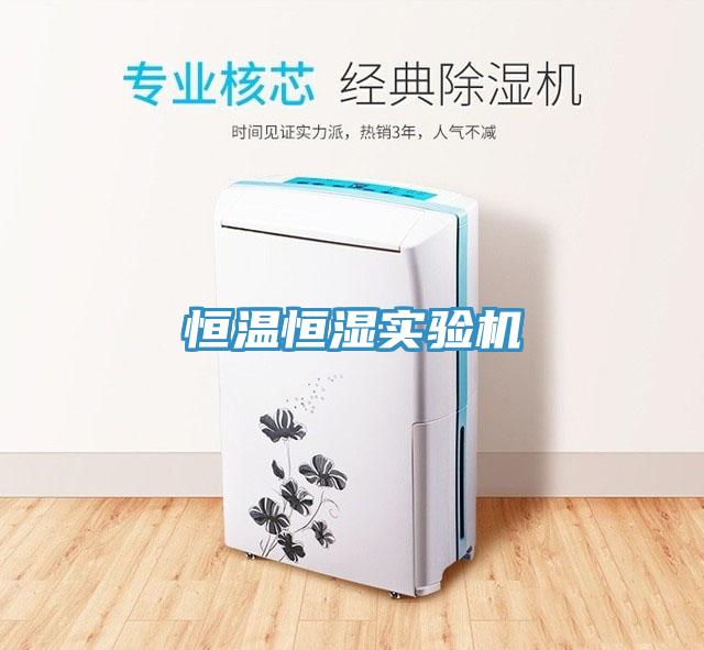 恒溫恒濕實驗機