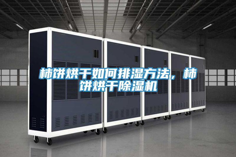 柿餅烘干如何排濕方法，柿餅烘干除濕機