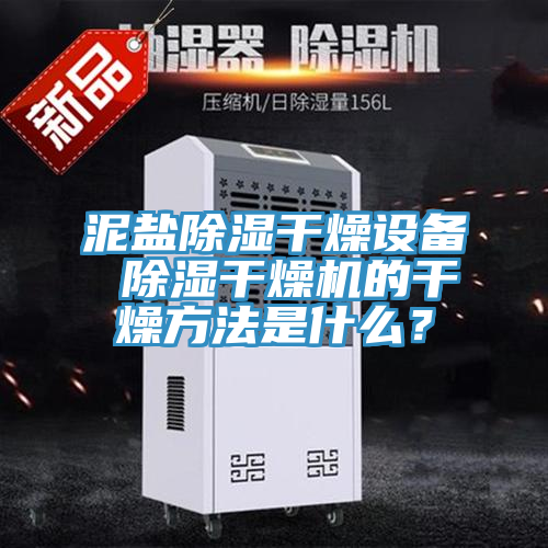 泥鹽除濕干燥設(shè)備 除濕干燥機(jī)的干燥方法是什么？