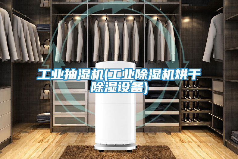 工業(yè)抽濕機(jī)(工業(yè)除濕機(jī)烘干除濕設(shè)備)