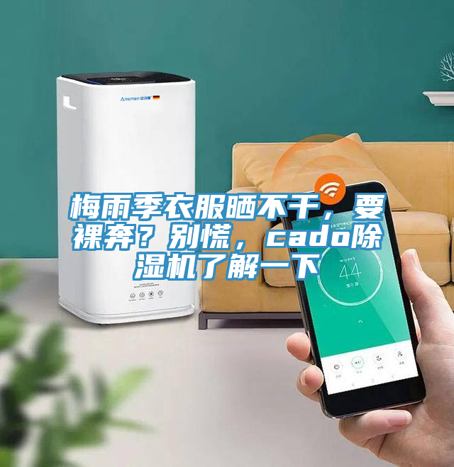 梅雨季衣服曬不干，要裸奔？別慌，cado除濕機了解一下