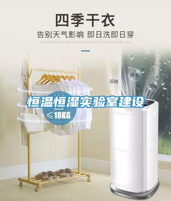 恒溫恒濕實驗室建設