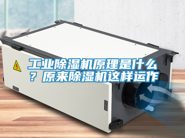工業(yè)除濕機原理是什么？原來除濕機這樣運作