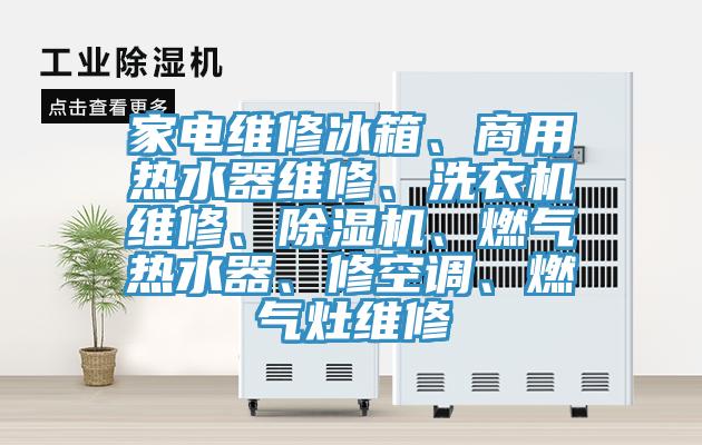 家電維修冰箱、商用熱水器維修、洗衣機(jī)維修、除濕機(jī)、燃?xì)鉄崴?、修空調(diào)、燃?xì)庠罹S修