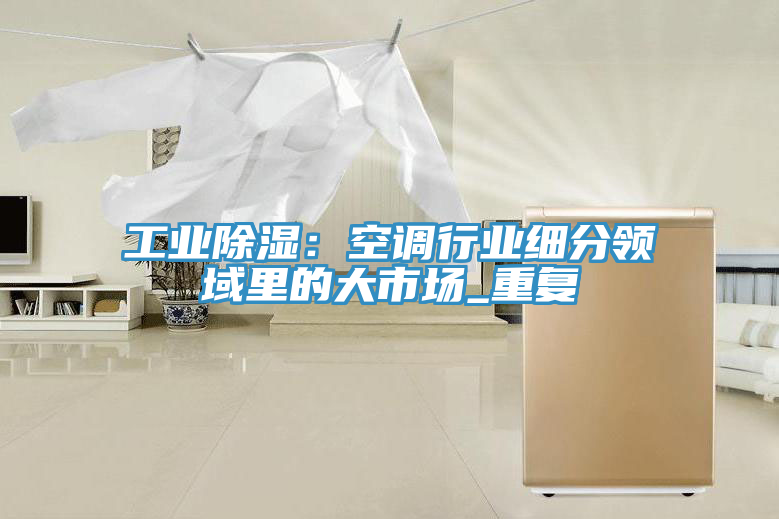 工業(yè)除濕：空調(diào)行業(yè)細(xì)分領(lǐng)域里的大市場(chǎng)_重復(fù)