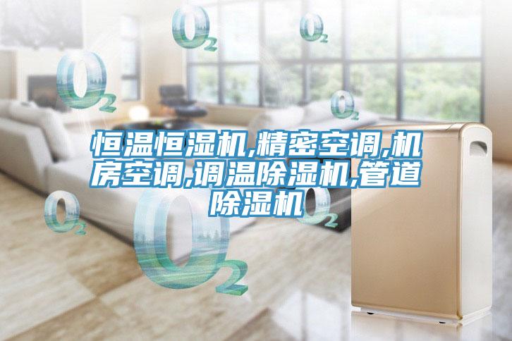 恒溫恒濕機(jī),精密空調(diào),機(jī)房空調(diào),調(diào)溫除濕機(jī),管道除濕機(jī)