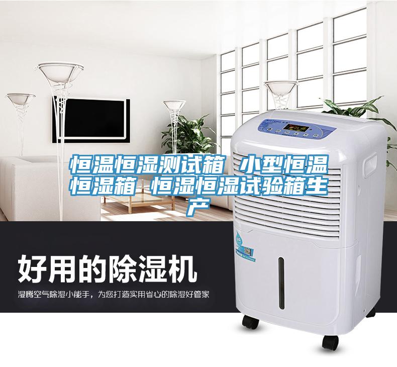 恒溫恒濕測(cè)試箱 小型恒溫恒濕箱 恒濕恒濕試驗(yàn)箱生產(chǎn)