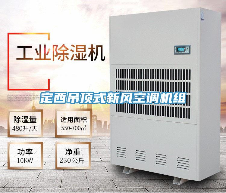 定西吊頂式新風空調(diào)機組