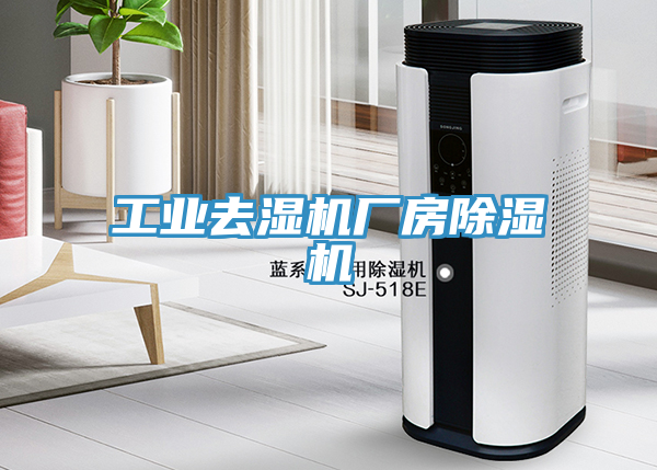 工業(yè)去濕機(jī)廠房除濕機(jī)