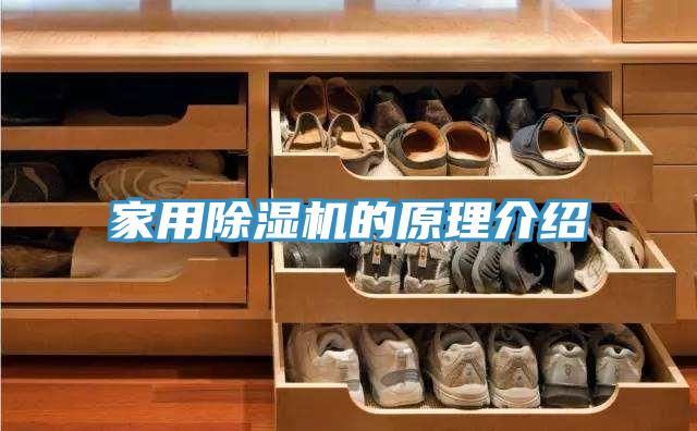 家用除濕機(jī)的原理介紹