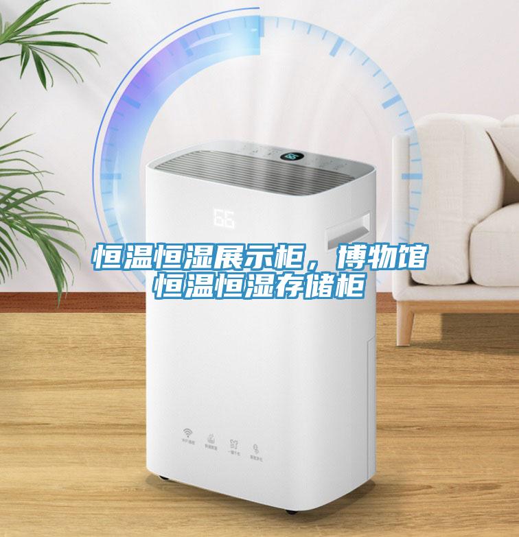 恒溫恒濕展示柜，博物館恒溫恒濕存儲(chǔ)柜