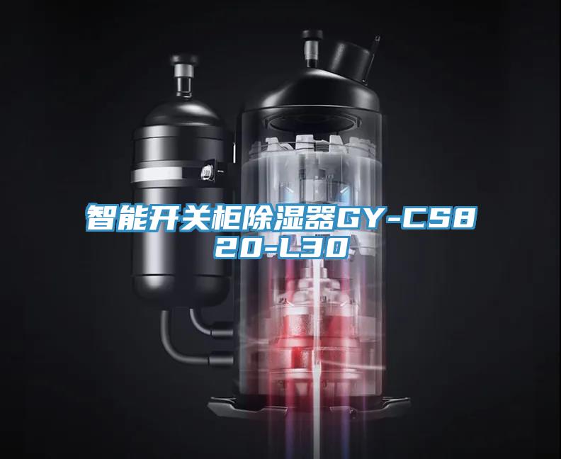 智能開關(guān)柜除濕器GY-CS820-L30