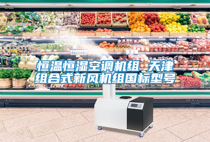 恒溫恒濕空調(diào)機(jī)組 天津組合式新風(fēng)機(jī)組國標(biāo)型號(hào)