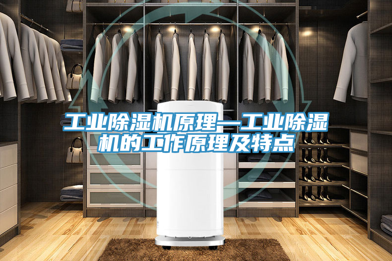 工業(yè)除濕機原理—工業(yè)除濕機的工作原理及特點