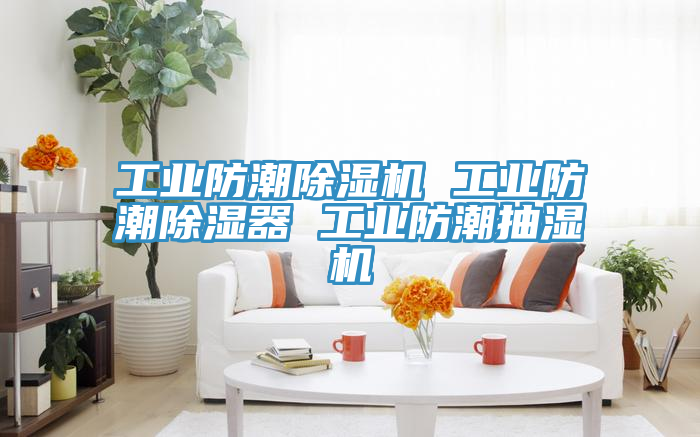 工業(yè)防潮除濕機 工業(yè)防潮除濕器 工業(yè)防潮抽濕機