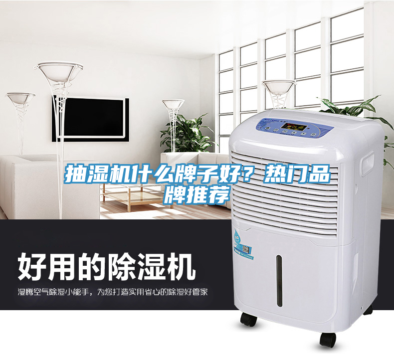 抽濕機(jī)什么牌子好？熱門品牌推薦