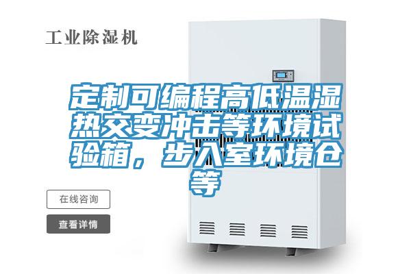 定制可編程高低溫濕熱交變沖擊等環(huán)境試驗箱，步入室環(huán)境倉等