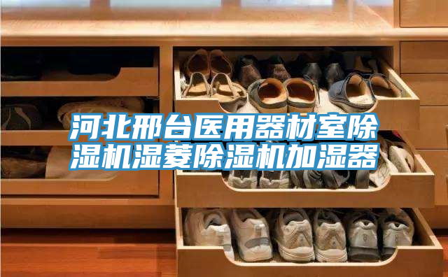 河北邢臺(tái)醫(yī)用器材室除濕機(jī)濕菱除濕機(jī)加濕器