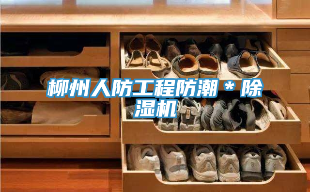 柳州人防工程防潮＊除濕機(jī)