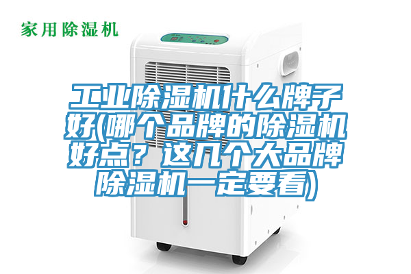 工業(yè)除濕機什么牌子好(哪個品牌的除濕機好點？這幾個大品牌除濕機一定要看)