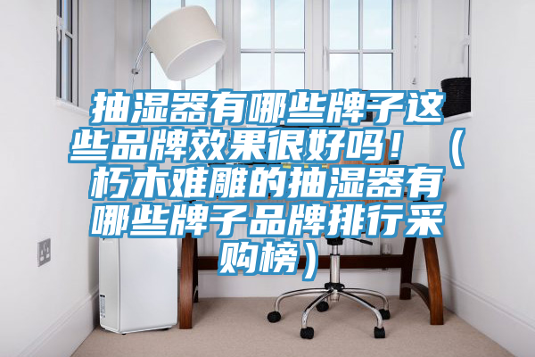 抽濕器有哪些牌子這些品牌效果很好嗎?。ㄐ嗄倦y雕的抽濕器有哪些牌子品牌排行采購榜）