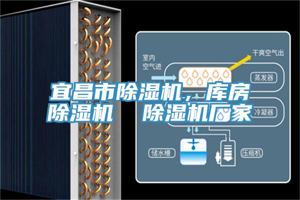 宜昌市除濕機，庫房除濕機  除濕機廠家