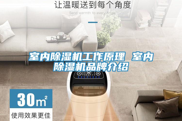 室內(nèi)除濕機工作原理 室內(nèi)除濕機品牌介紹