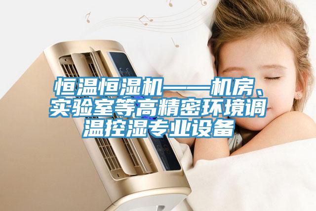 恒溫恒濕機——機房、實驗室等高精密環(huán)境調(diào)溫控濕專業(yè)設(shè)備