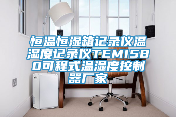 恒溫恒濕箱記錄儀溫濕度記錄儀TEMI580可程式溫濕度控制器廠家