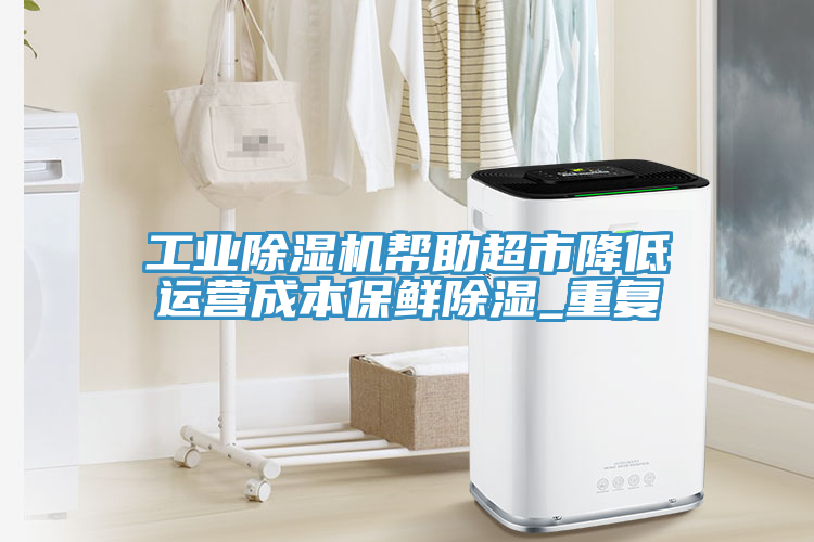 工業(yè)除濕機(jī)幫助超市降低運(yùn)營成本保鮮除濕_重復(fù)