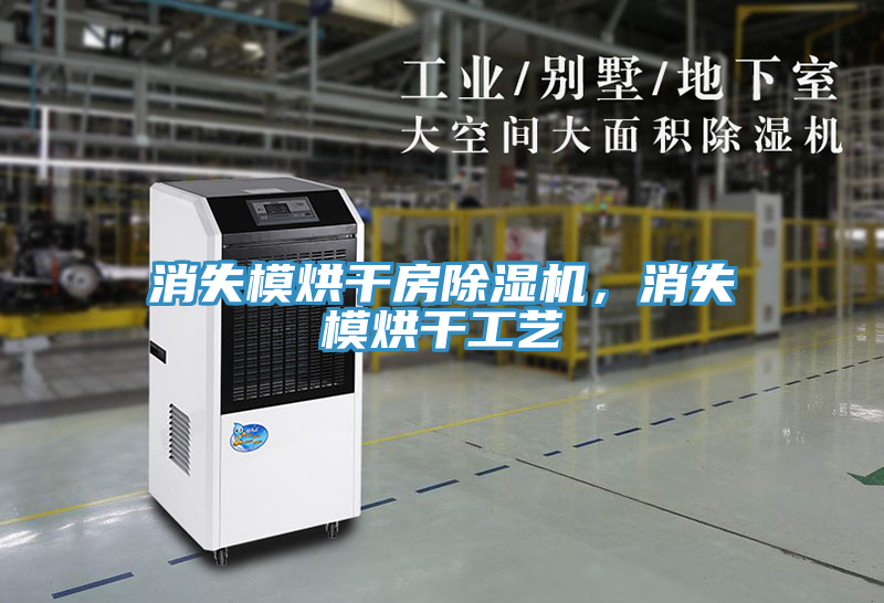 消失模烘干房除濕機，消失模烘干工藝