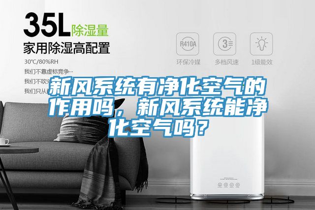 新風(fēng)系統(tǒng)有凈化空氣的作用嗎，新風(fēng)系統(tǒng)能凈化空氣嗎？