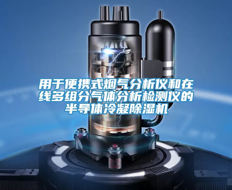 用于便攜式煙氣分析儀和在線多組分氣體分析檢測(cè)儀的半導(dǎo)體冷凝除濕機(jī)