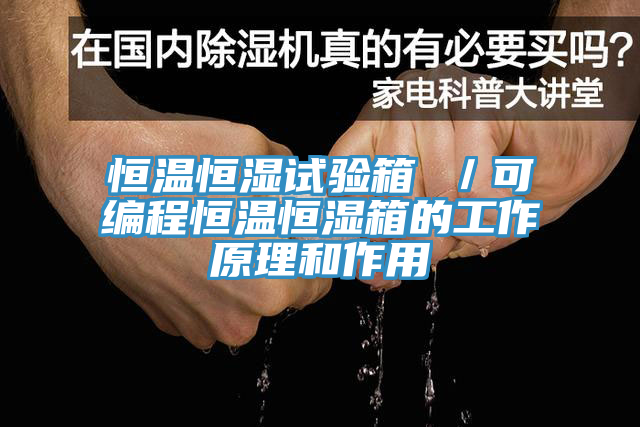 恒溫恒濕試驗(yàn)箱 ／可編程恒溫恒濕箱的工作原理和作用