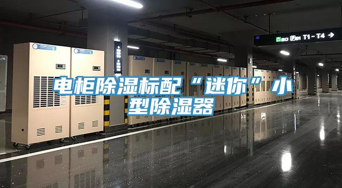 電柜除濕標配“迷你”小型除濕器